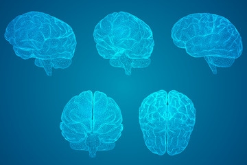 厦门金山二手市场