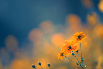 外观最好看的笔记本电脑