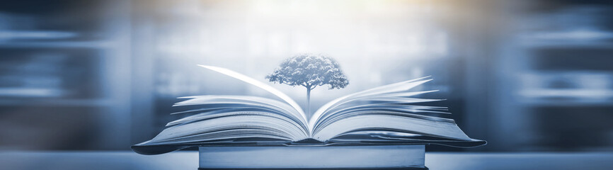 二手苹果笔记本macbook卖多少钱