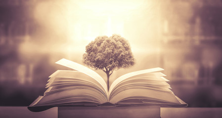 井大·魅力天城周边环境怎么样？