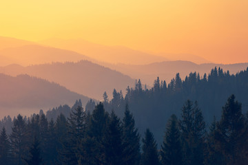 二本财经类大学排名