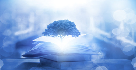 夏威夷是哪个国家的旅游胜地