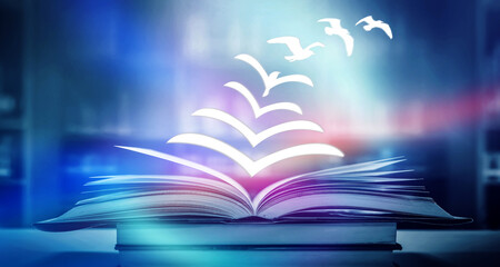 交通事故中的主次责任怎么划分比例