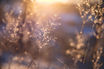 夏威夷是哪个国家的旅游胜地