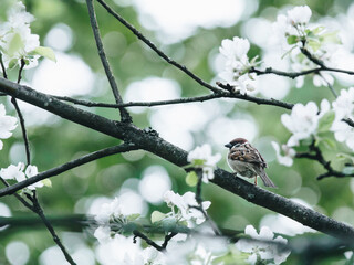 五千以内的笔记本电脑推荐