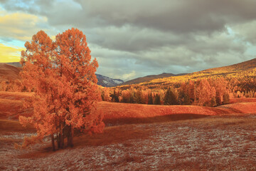 二手苹果笔记本macbook卖多少钱