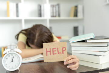 二本财经类大学排名