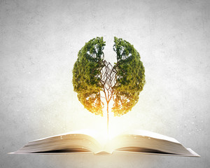 华为电脑mate book 15Dbook保修期是几年