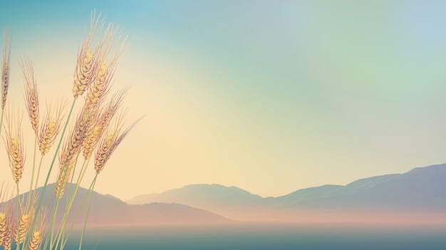 十大耐用笔记本排行榜