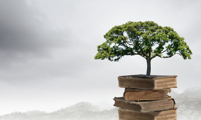 交通事故中的主次责任怎么划分比例