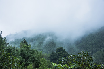 交通事故中的主次责任怎么划分比例